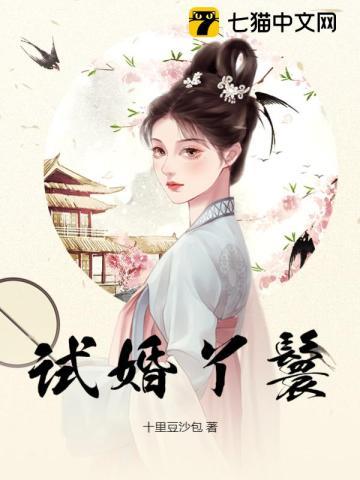 试婚丫鬟 试婚丫鬟