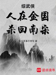 综武侠:人在金国,杀回南宋 综武侠:人在金国,杀回南宋