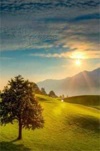 荣缚唐密 荣缚唐密