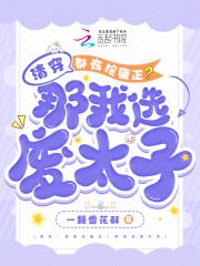 清穿:都在抢雍正?那我选废太子 清穿:都在抢雍正?那我选废太子