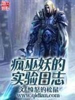 疯巫妖的实验日志 疯巫妖的实验日志