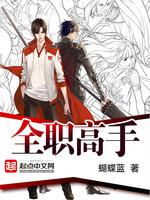 全职高手 全职高手