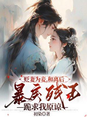 贬妻为妾,和离后暴戾残王跪求我原谅 贬妻为妾,和离后暴戾残王跪求我原谅