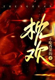 枕欢 枕欢