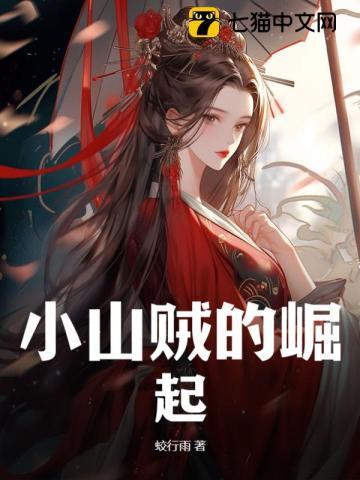 小山贼的崛起 小山贼的崛起