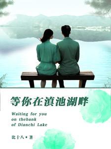 等你在滇池湖畔 等你在滇池湖畔