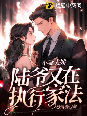 陆晏辞温宁 陆晏辞温宁