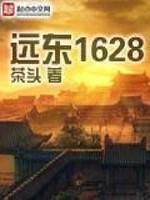 远东1628 远东1628