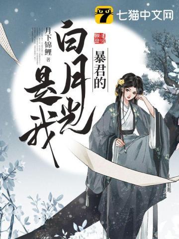 苏婉寻景慕霆 苏婉寻景慕霆
