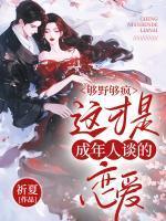 第11章出车祸了 第11章出车祸了