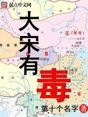 大宋有毒 大宋有毒