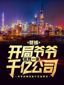 赘婿:开局爷爷送我一家千亿公司 赘婿:开局爷爷送我一家千亿公司
