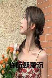 许阮朝萧沉