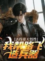 罗风路飞 罗风路飞