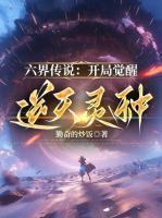从乞丐到元首简介