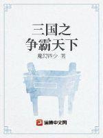 三国之争霸天下 三国之争霸天下