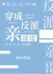 穿成反派亲哥哥 穿成反派亲哥哥