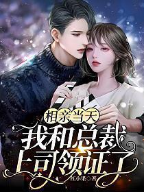 相亲当天,我和总裁上司领证了 相亲当天,我和总裁上司领证了