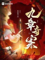 九章奇案 九章奇案