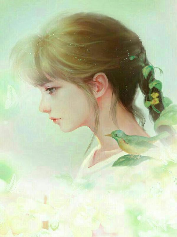 画皮 画皮