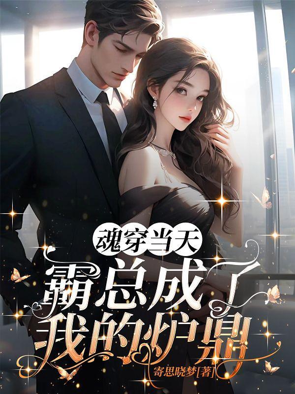 魂穿当天霸总成了我的炉鼎 魂穿当天霸总成了我的炉鼎