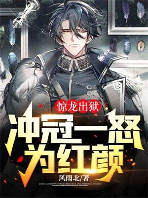 叶清清沈从安全文免费阅读