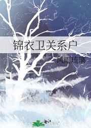 锦衣卫关系户 锦衣卫关系户