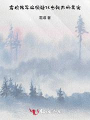婢女太放肆降服傲娇小王爷