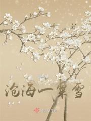 沧海一粟雪 沧海一粟雪