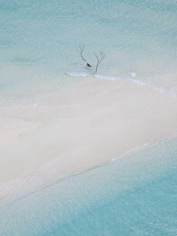 快穿之大佬有点燃