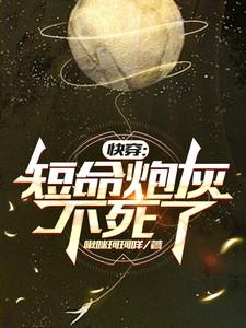 全是腿