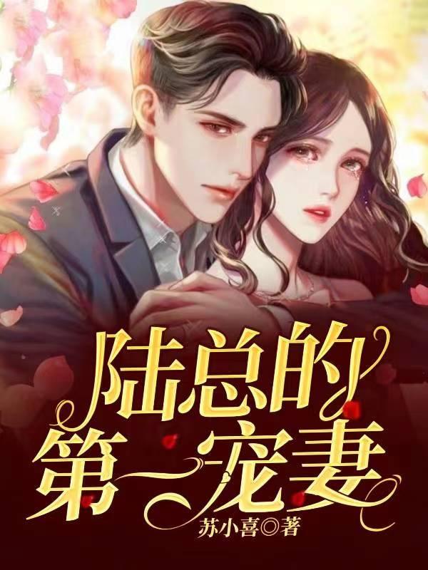 陆总的第一宠妻 陆总的第一宠妻