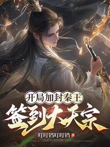 开局加封秦王,签到大天宗 开局加封秦王,签到大天宗