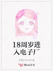 18周岁进入电子厂