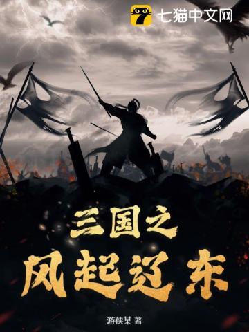 三国之风起辽东 三国之风起辽东