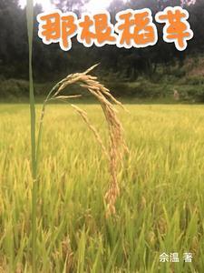 那根稻草 那根稻草