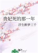 贵妃死的那一年 贵妃死的那一年