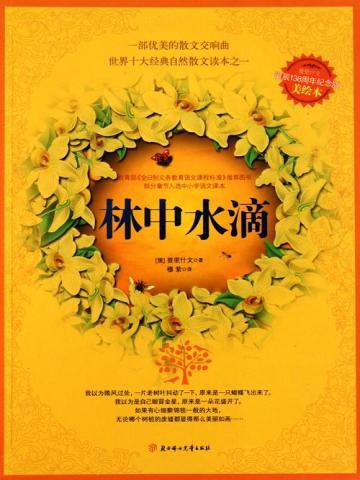 林中水滴 林中水滴