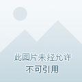 嫁给山野糙汉后,大佬被全家团宠 嫁给山野糙汉后,大佬被全家团宠