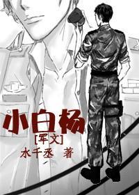 小白杨 小白杨