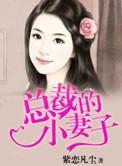 总裁的小妻子 总裁的小妻子