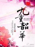 九重韶华 九重韶华