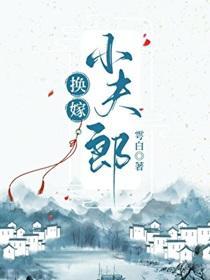 换嫁小夫郎 换嫁小夫郎