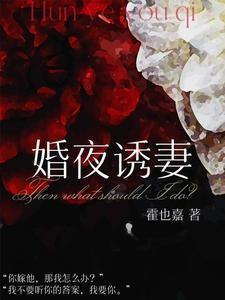 婚夜诱妻 婚夜诱妻