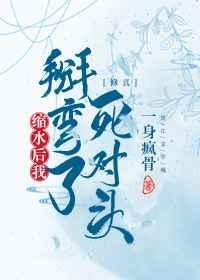 上门龙婿叶辰萧初然完结版免费阅读2750章