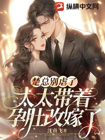 楚总别虐了，太太带着孕肚改嫁了