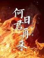 何日君再来 何日君再来