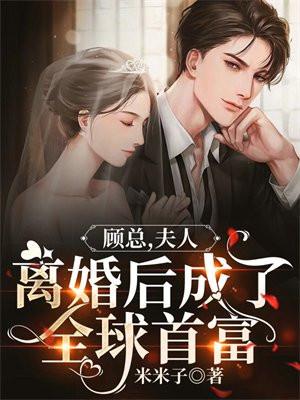 顾总,夫人离婚后成了全球首富 顾总,夫人离婚后成了全球首富