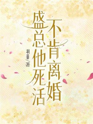 盛总他死活不肯离婚 盛总他死活不肯离婚