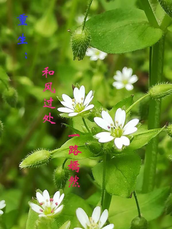 永堕地狱的意思